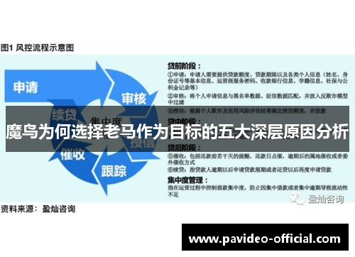 魔鸟为何选择老马作为目标的五大深层原因分析